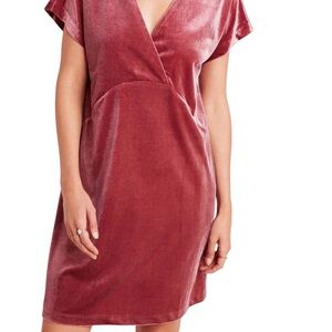 NWT Anthropologie Velvet Dress Pink L